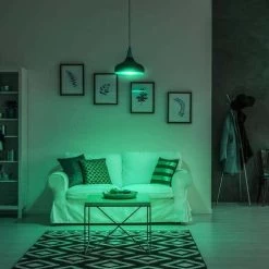 Energizer Connect Smart Wi-Fi BR30 Multi-White & Multi-Color RGB LED Light Bulb (EBC2-1002-RGB) -Home Appliance Store 57e9a25ad9f5e21e8bb04c7b8bebcc2bc808cd98d3dd245943c559a4cbbaeef3