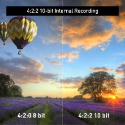 Panasonic HC-X2 4K Camcorder (HCX2) -Home Appliance Store panasonic 3